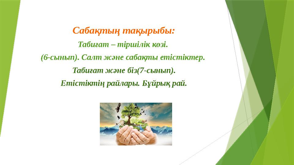 Интернеттегі порно видеолар тегін