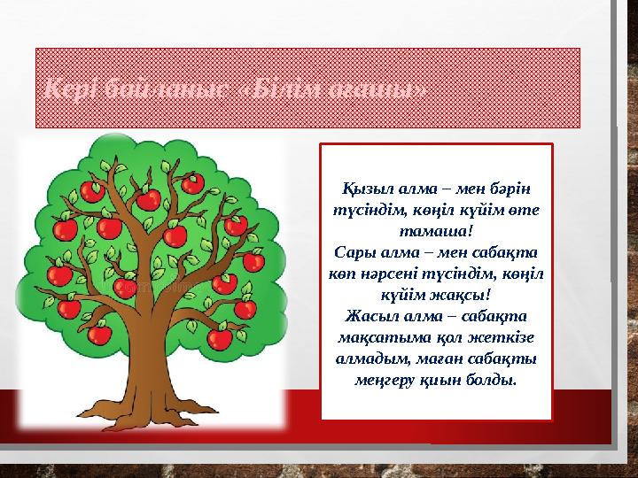 Кері байланыс «Білім ағашы» Қызыл алма – мен бәрін түсіндім, көңіл күйім өте тамаша! Сары алма – мен сабақта көп нәрсені түсі