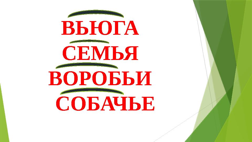 ВЬЮГА СЕМЬЯ ВОРОБЬИ СОБАЧЬЕ