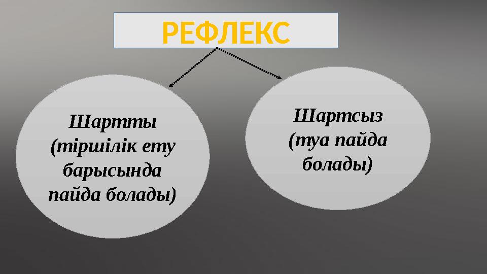 РЕФЛЕКС Шартты (тіршілік ету барысында пайда болады) Шартсыз (туа пайда болады)