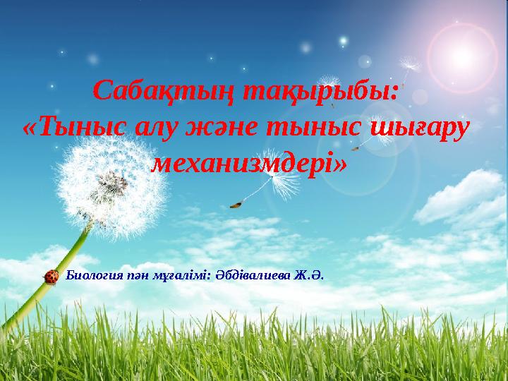 Пенис шалбардың астынан шығып тұр