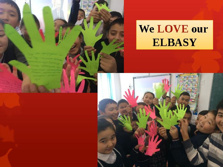 We LOVE our ELBASY