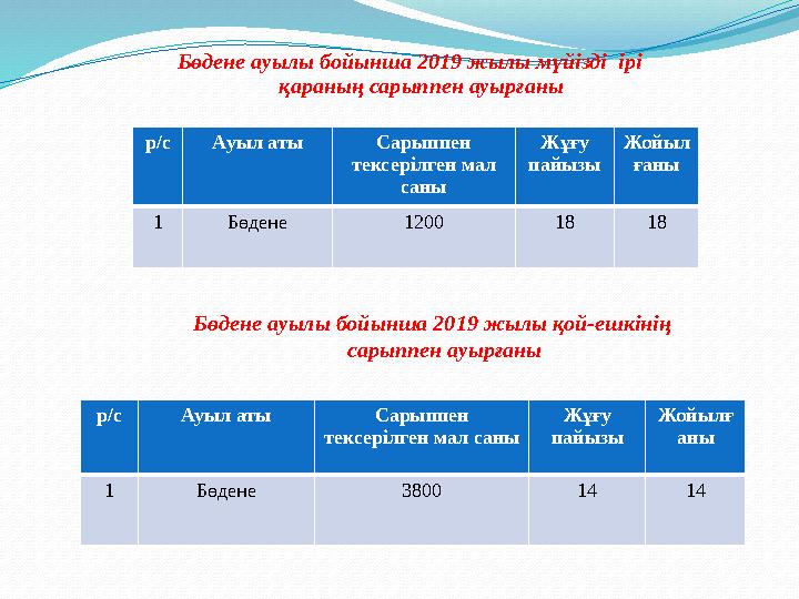 Бөдене ауылы бойынша 2019 жылы мүйізді ірі қараның сарыппен ауырғаны р/с Ауыл аты Сарыппен тексерілген мал саны Жұғу пайы