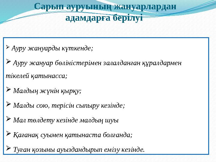 Сарып ауруының жануарлардан адамдарға берілуі  Ауру жануарды күткенде ;  Ауру жануар бөліністерімен залалданған құралдар