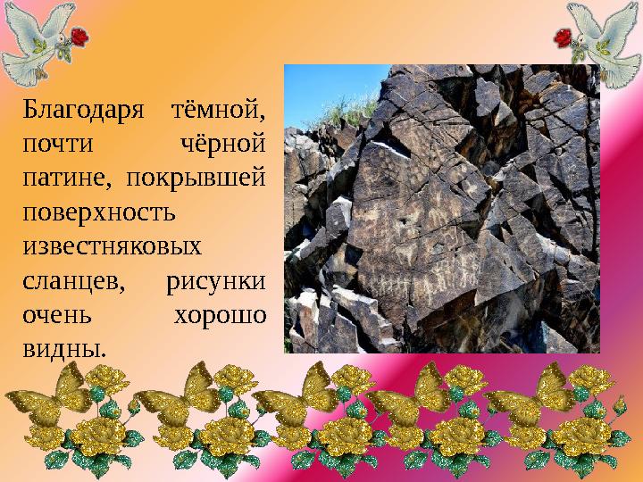 Благодаря тёмной, почти чёрной патине, покрывшей поверхность известняковых сланцев, рисунки очень хорошо видны.