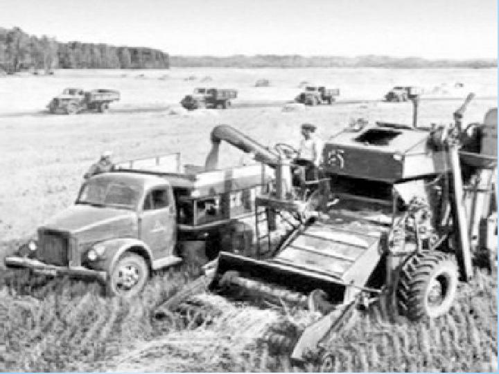 Қырғыз порно