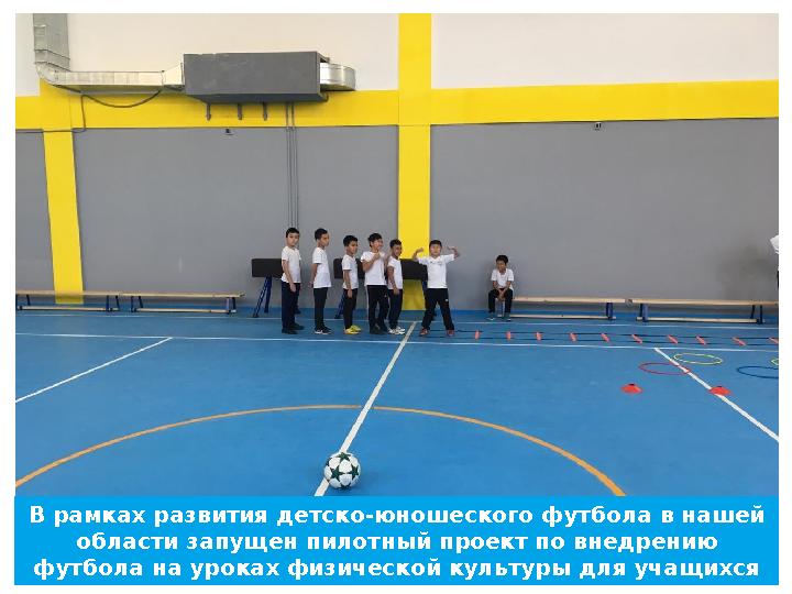В рамках развития детско-юношеского футбола в нашей области запущен пилотный проект по внедрению футбола на уроках физической