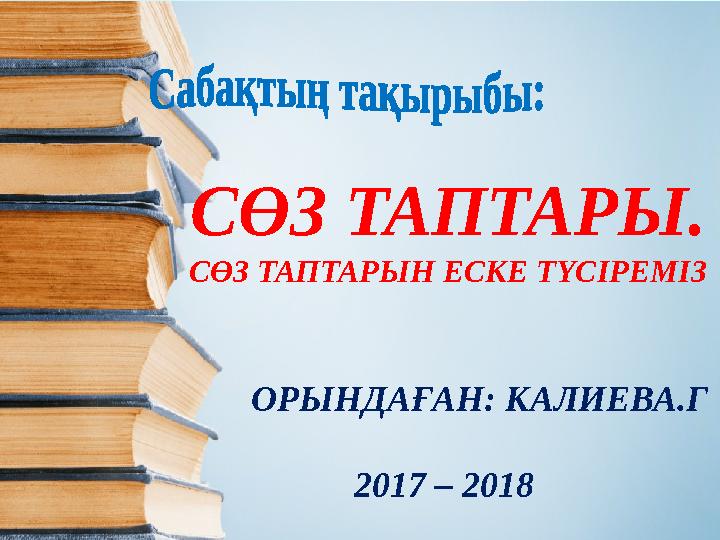 Travel Trans компаниясы