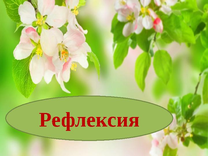 Рефлексия