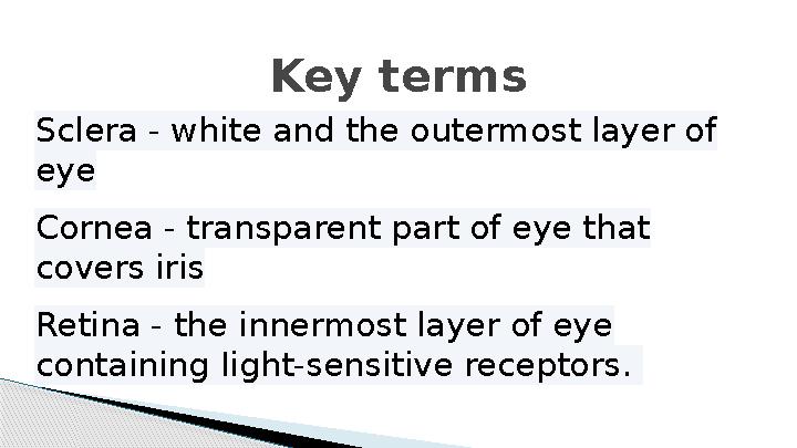 Key terms Sclera - white and the outermost layer of eye Cornea - transparent part of eye that covers iris Retina - the innermo