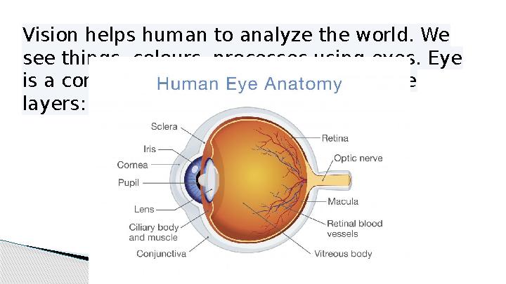 Vision helps human to analyze the world. We see things, colours, processes using eyes. Eye is a complicated organ. It consist