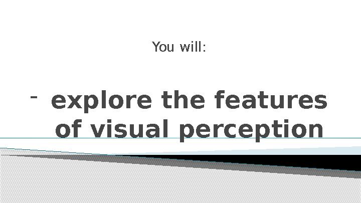 - explore the features of visual perception You will: