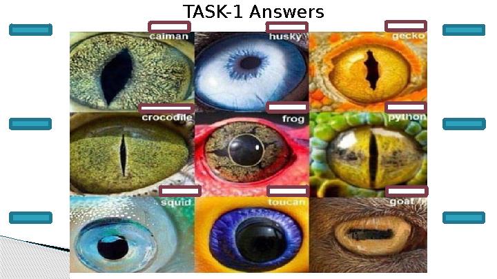 TASK-1 Answers