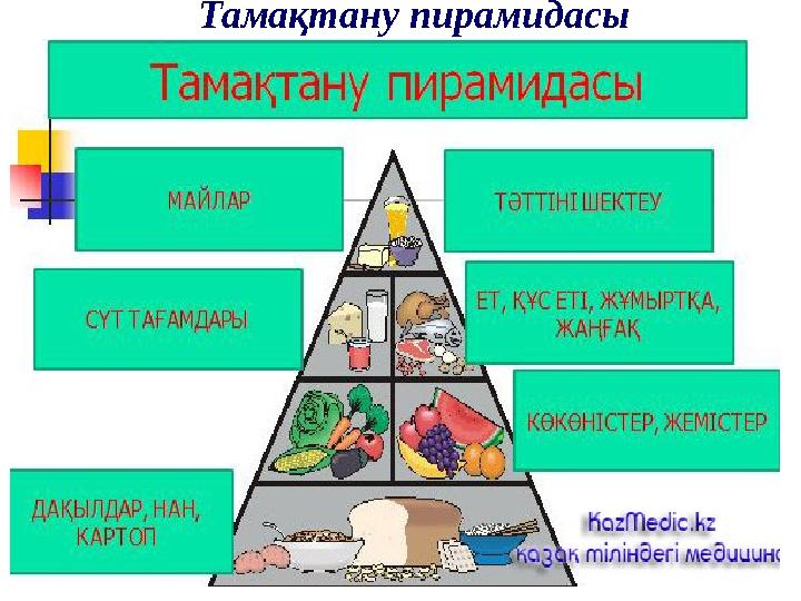 Тамақтану пирамидасы