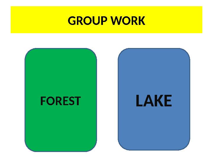 GROUP WORK LAKEFOREST