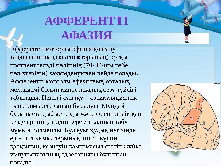 АФФЕРЕНТТІ АФАЗИЯ Афферентті моторлы афазия қозғалу талдағышының ( анализаторының ) артқы постцентральді бөлігінің (70-40-шы