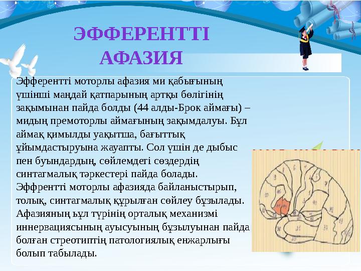 ЭФФЕРЕНТТІ АФАЗИЯ Эфферентті моторлы афазия ми қабығының үшінші маңдай қатпарының артқы бөлігінің зақымынан пайда болды (44 а