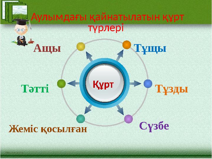 Аулымдағы қайнатылатын құрт түрлері ТұщыАщы Тұзды СүзбеТәтті Жеміс қосылған Құрт