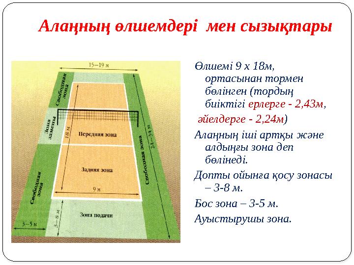 Алаңның өлшемдері мен сызықтары Өлшемі 9 х 18м, ортасынан тормен бөлінген (тордың биіктігі ерлерге - 2,43м , әйелдерге -