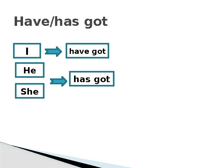 Have/has got I have got has gotHe She