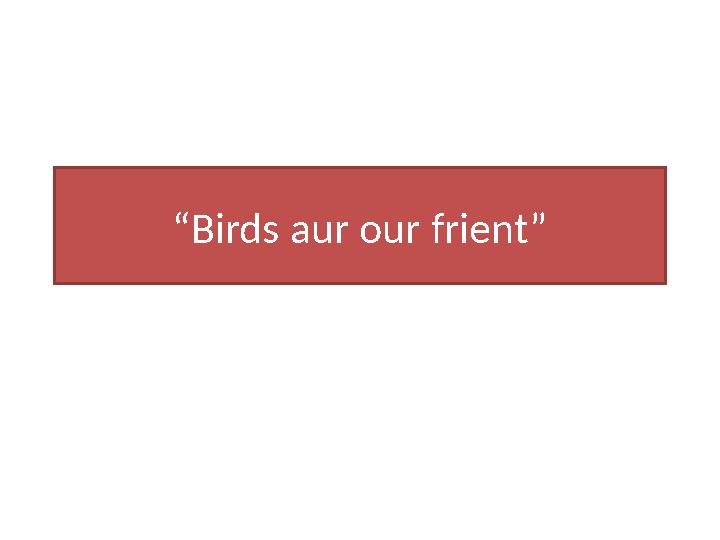 “ Birds aur our frient ”