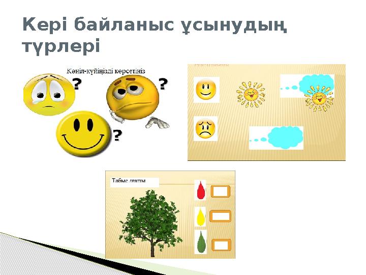 Кері байланыс ұсынудың түрлері