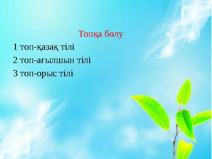 Топқа бөлу 1 топ-қазақ тілі 2 топ-ағылшын тілі 3 топ-орыс тілі