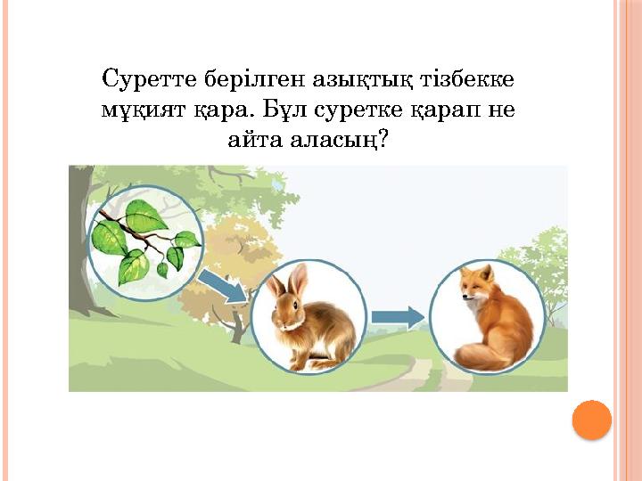 Суретте берілген азықтық тізбекке мұқият қара. Бұл суретке қарап не айта аласың?