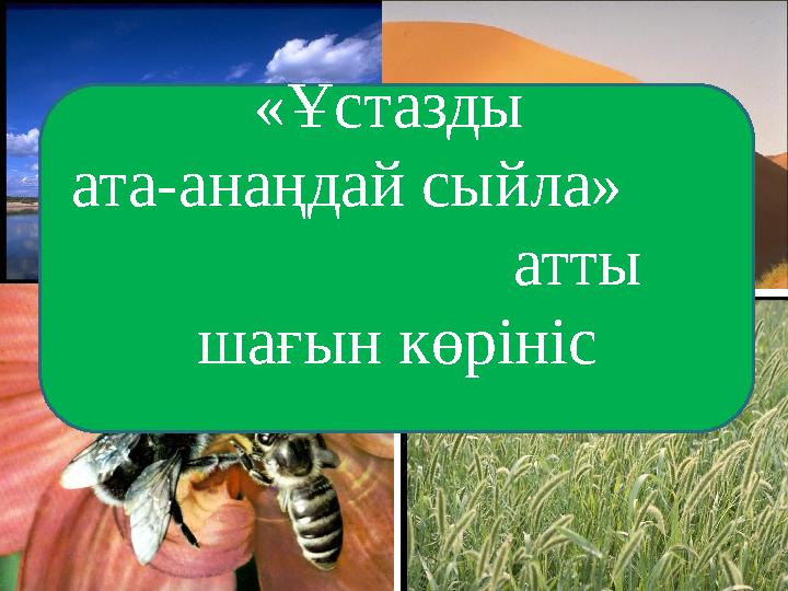 «Ұстазды ата-анаңдай сыйла» атты шағын көрініс