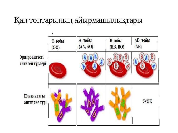 Қан топтарының айырмашылықтары