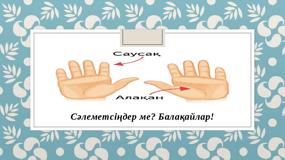 Мас, ес-түссіз, есінен танып қалған адамдармен жыныстық қатынас Марина мен Шарконың секс ойындары