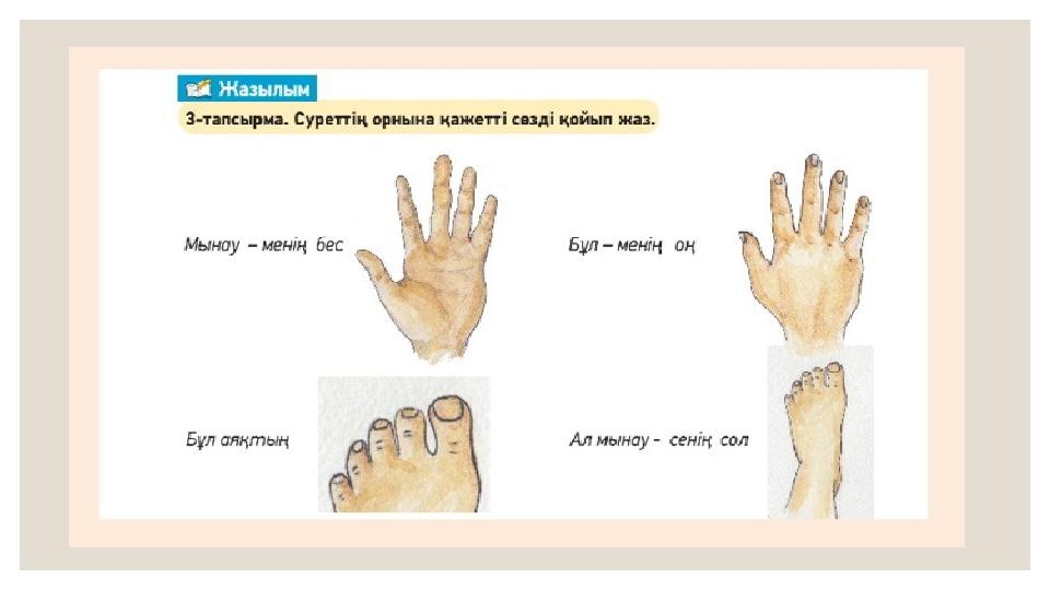 Порно сыймайды Лейламен онлайнда Винкс секс мультфильмдері