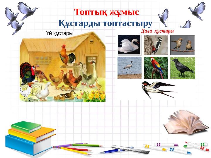 - Топтық жұмыс Құстарды топтастыру