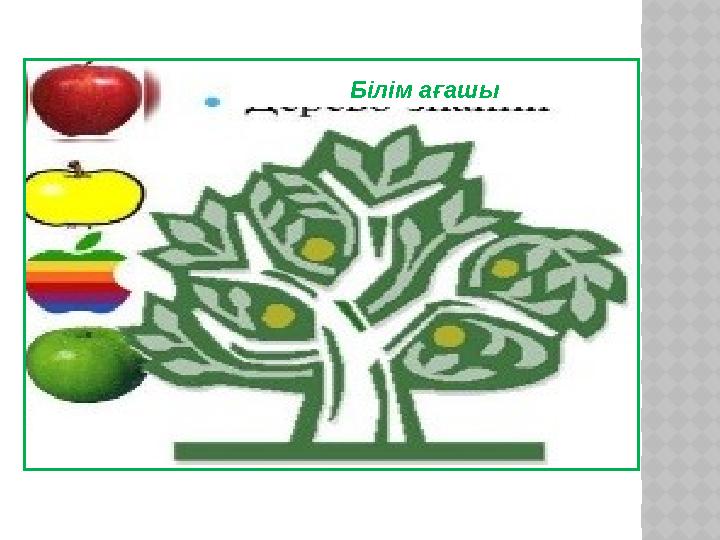 Білім ағашы