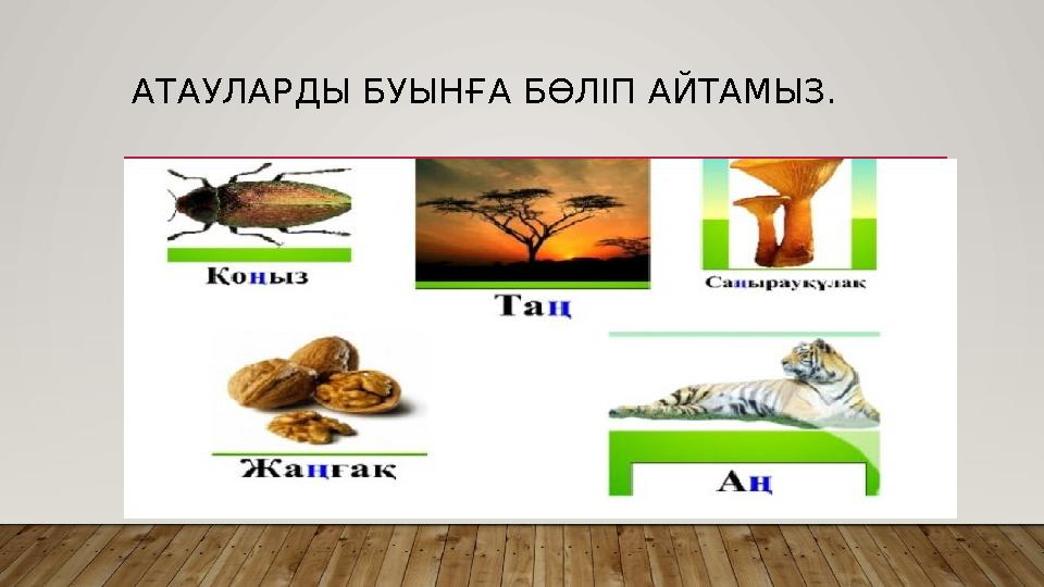 АТАУЛАРДЫ БУЫНҒА БӨЛІП АЙТАМЫЗ.