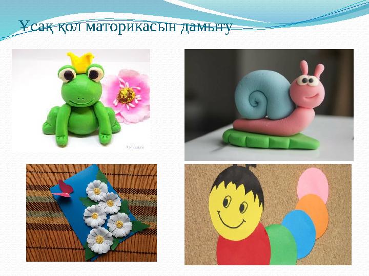 Ұсақ қол маторикасын дамыту