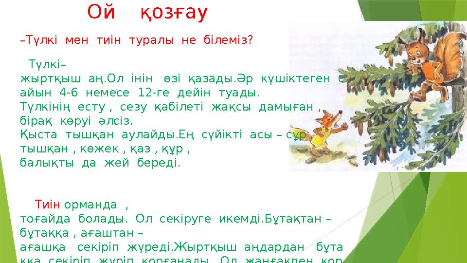 – Түлкі мен тиін туралы не білеміз? Түлкі– жыртқыш аң.Ол інін өзі қазады.Әр күшіктеген с айын 4-6 немесе