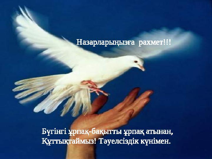 Назарларыңызға рахмет!!! Бүгінгі ұрпақ-бақытты ұрпақ атынан, Құттықтаймыз! Тәуелсіздік күнімен.
