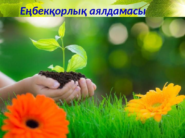 Еңбекқорлық аялдамасы