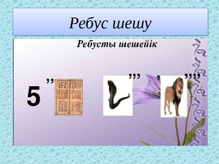 Ребус шешу