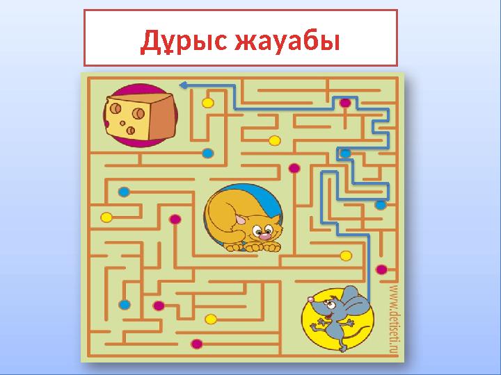 Дұрыс жауабы
