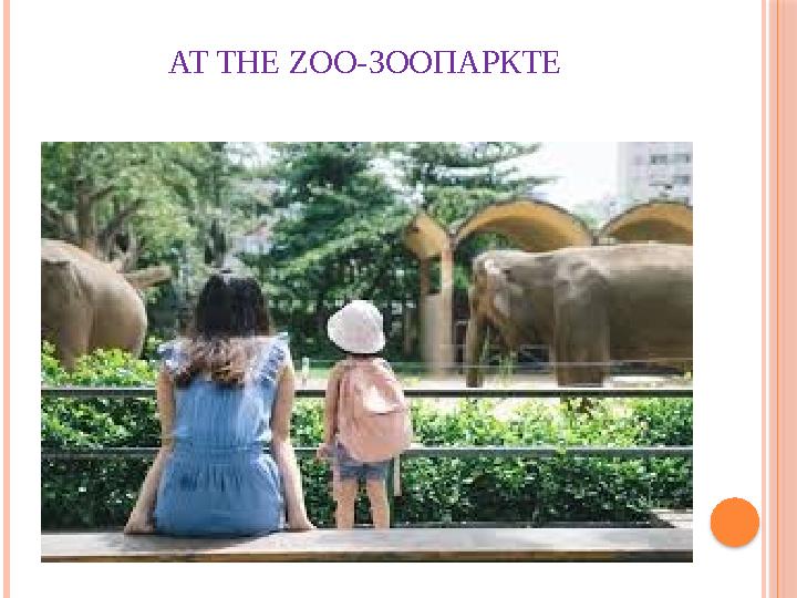 AT THE ZOO- ЗООПАРКТЕ