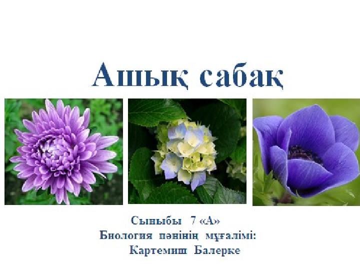 Бірінші рет минет көру