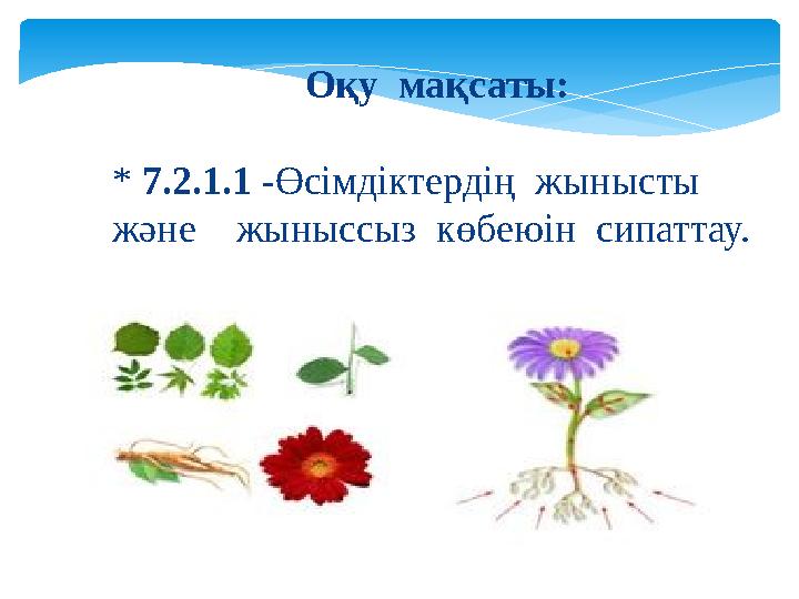 Мені жыныссыз өлтіреді