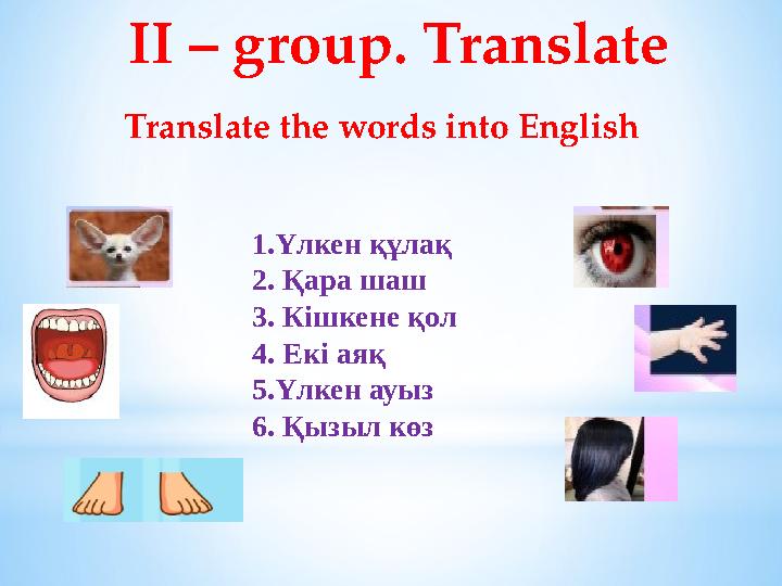II – group. Translate Translate the words into English 1. Үлкен құлақ 2. Қара шаш 3. Кішкене қол 4. Екі аяқ 5.Үлкен ауыз