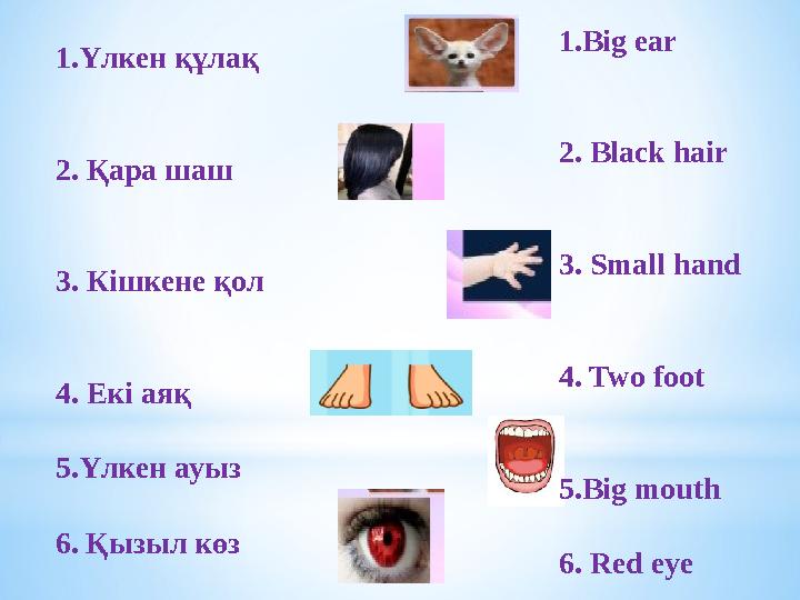 1. Үлкен құлақ 2. Қара шаш 3. Кішкене қол 4. Екі аяқ 5.Үлкен ауыз 6. Қызыл көз 1.Big ear 2. Black hair 3. Small hand