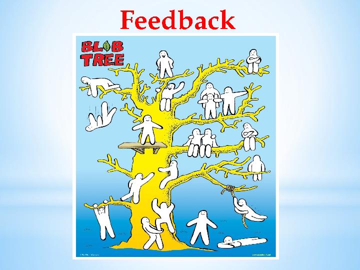 Feedback