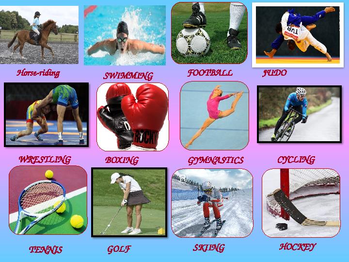 BOXINGWRESTLING JUDO SWIMMING TENNIS CYCLING HOCKEYGYMNA STICS GOLF SKIINGFOOTBALLHorse-riding