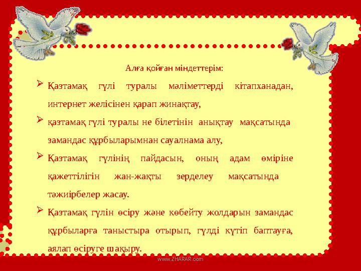 Алға қойған міндеттерім:  Қазтамақ гүлі туралы мәліметтерді кітапханадан, интерн