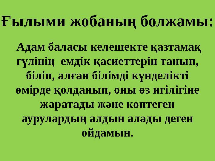 Ғылыми жобаның болжамы: Адам баласы келешекте қазтамақ гүлінің емдік қасиеттерін танып, біліп, алған білімді күнделікті өм